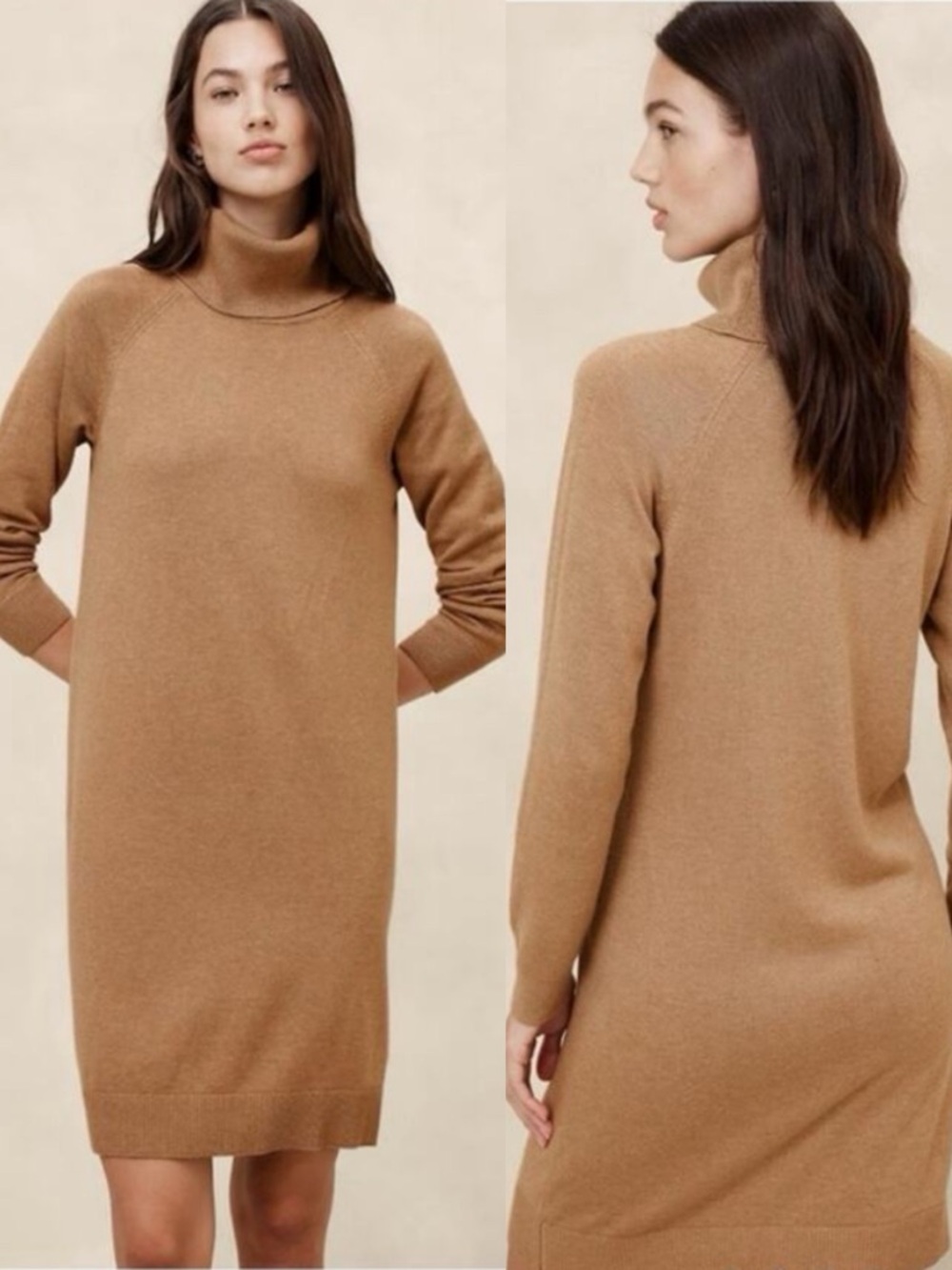 Banana Republic Turtleneck Sweater Dress